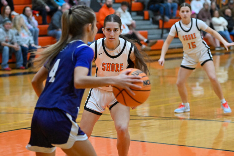 Depasqua career-high propels Jersey Shore girls past Shamokin in D4 AAAA quarters